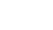 車輛違章查詢