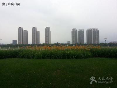 河西天氣預報10天查詢