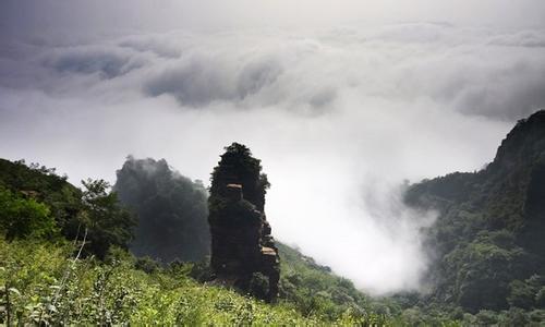橋西天氣預(yù)報(bào)10天查詢