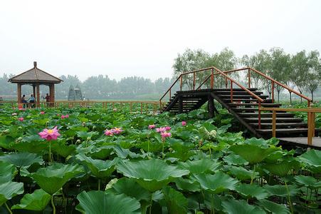 安新天氣預報10天查詢
