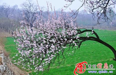 杏花嶺天氣預(yù)報(bào)10天查詢
