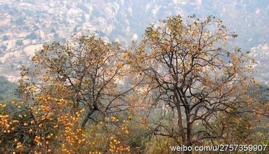 大洼天氣預(yù)報(bào)10天查詢