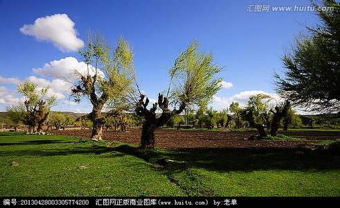 榆樹天氣預(yù)報(bào)10天查詢