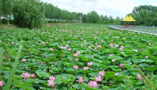德惠天氣預(yù)報(bào)10天查詢