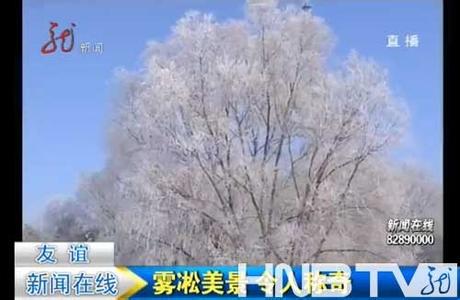 友誼天氣預報10天查詢
