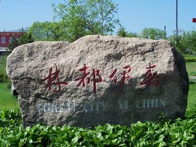 伊春區天氣預報10天查詢