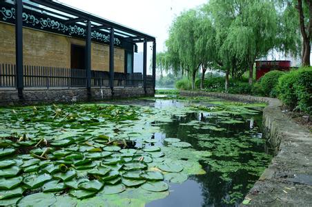 鄞州天氣預報10天查詢
