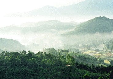 樅陽天氣預(yù)報10天查詢