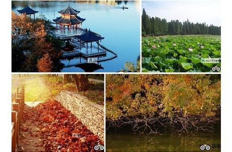 西湖天氣預(yù)報10天查詢