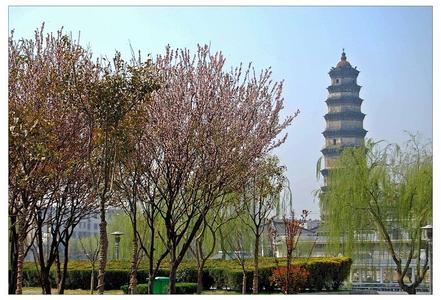 滕州天氣預報10天查詢