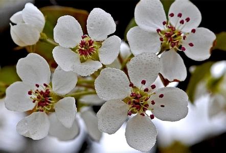 陽信天氣預(yù)報(bào)10天查詢