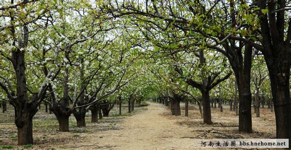 寧陵天氣預(yù)報10天查詢