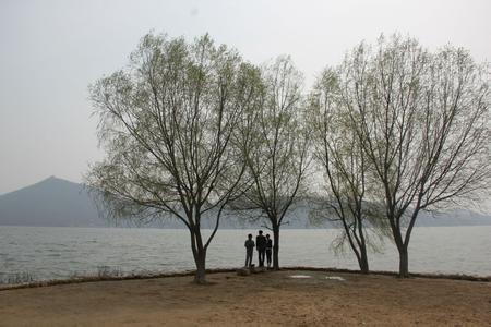 商水天氣預(yù)報10天查詢