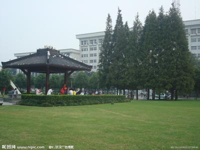 洪山天氣預報10天查詢