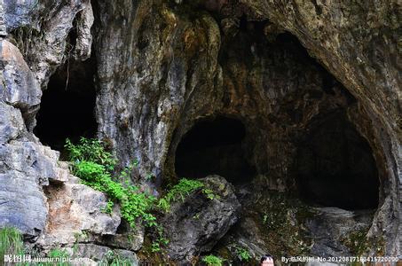 西陵天氣預(yù)報10天查詢