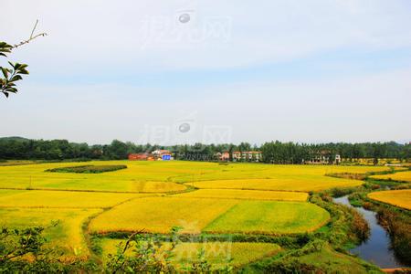 安陸天氣預(yù)報10天查詢
