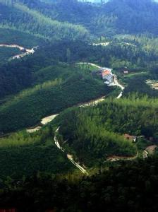 岳陽縣天氣預(yù)報10天查詢
