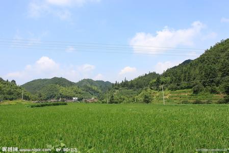 桂東天氣預報10天查詢
