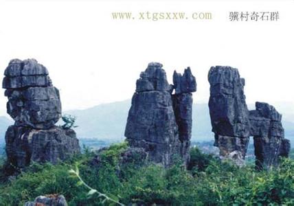 新田天氣預報10天查詢