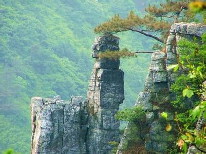 新化天氣預報10天查詢