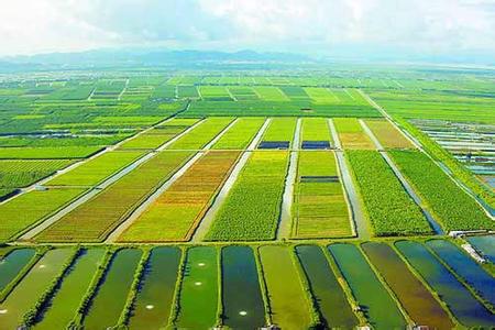斗門天氣預報10天查詢