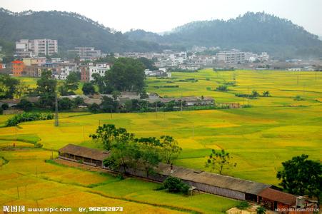 新興天氣預報10天查詢