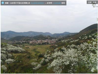 欽北天氣預報10天查詢