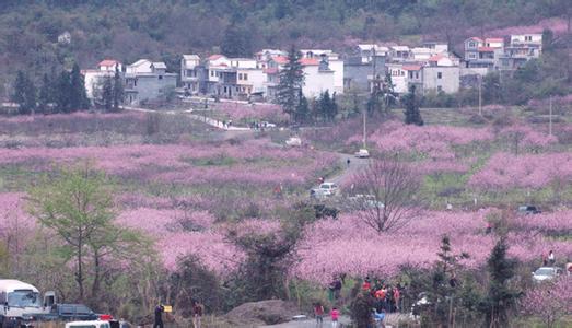 金城江天氣預報10天查詢