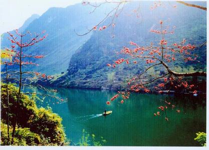 大化天氣預報10天查詢