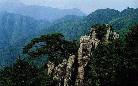 墊江天氣預(yù)報(bào)10天查詢