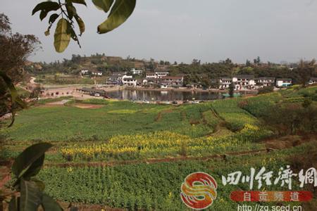 大安天氣預(yù)報(bào)10天查詢(xún)
