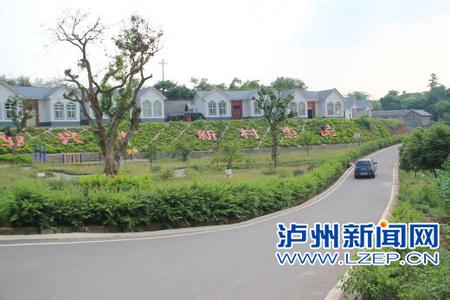 江陽天氣預報10天查詢