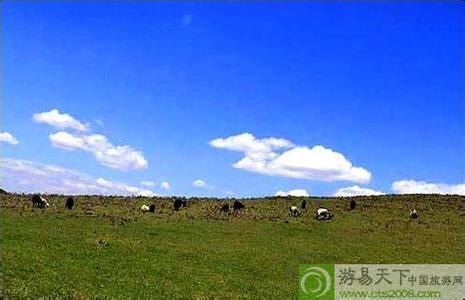 布拖天氣預報10天查詢