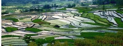 大方天氣預(yù)報(bào)10天查詢(xún)