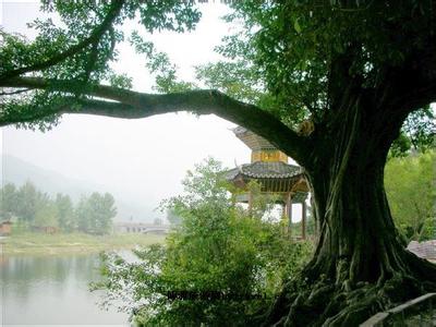 榕江天氣預報10天查詢