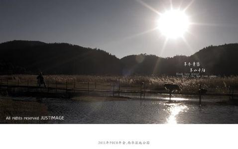 千陽天氣預(yù)報10天查詢