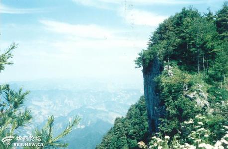 山陽天氣預報10天查詢
