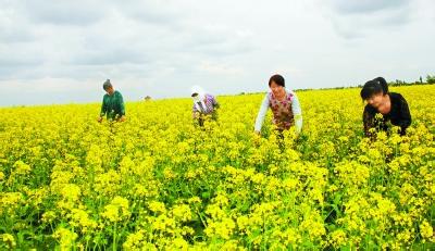 民樂天氣預報10天查詢