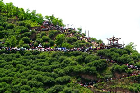 岷縣天氣預(yù)報10天查詢