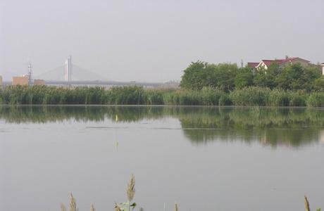永寧天氣預(yù)報(bào)10天查詢