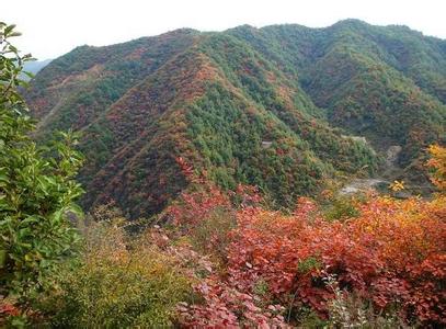 邢臺臨城天氣預報_臨城天氣預報一周7天10天15天邢臺臨城天氣預報,臨城天氣預報一周7天10天15天