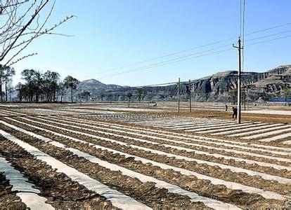 呂梁臨縣天氣預報_臨縣天氣預報一周7天10天15天呂梁臨縣天氣預報,臨縣天氣預報一周7天10天15天