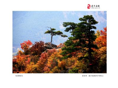 朝陽建平天氣預報_建平天氣預報一周7天10天15天朝陽建平天氣預報,建平天氣預報一周7天10天15天
