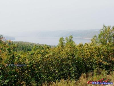 黑河愛輝天氣預報_愛輝天氣預報一周7天10天15天黑河愛輝天氣預報,愛輝天氣預報一周7天10天15天