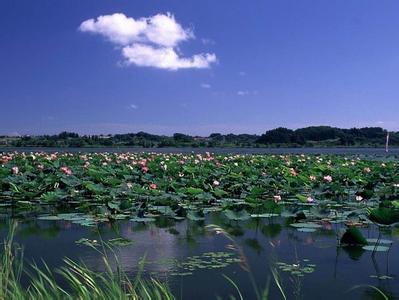 南京高淳天氣預報_高淳天氣預報一周7天10天15天南京高淳天氣預報,高淳天氣預報一周7天10天15天