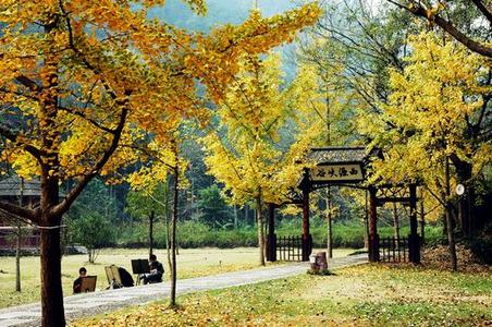 紹興諸暨天氣預(yù)報_諸暨天氣預(yù)報一周7天10天15天紹興諸暨天氣預(yù)報,諸暨天氣預(yù)報一周7天10天15天