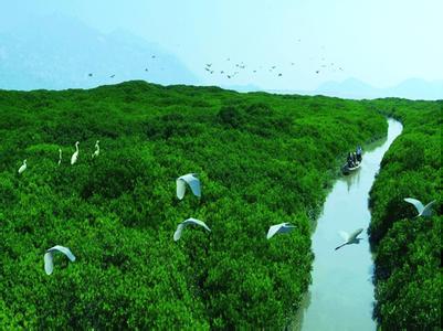 漳州云霄天氣預(yù)報(bào)_云霄天氣預(yù)報(bào)一周7天10天15天漳州云霄天氣預(yù)報(bào),云霄天氣預(yù)報(bào)一周7天10天15天