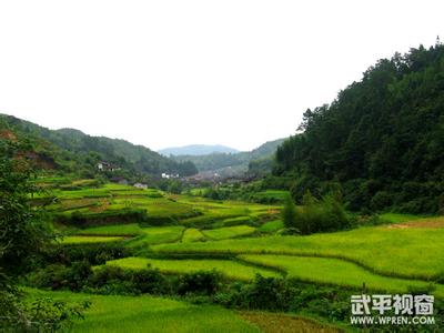 龍巖武平天氣預(yù)報(bào)_武平天氣預(yù)報(bào)一周7天10天15天龍巖武平天氣預(yù)報(bào),武平天氣預(yù)報(bào)一周7天10天15天