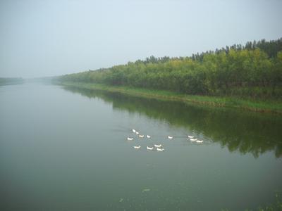 濟南商河天氣預報_商河天氣預報一周7天10天15天濟南商河天氣預報,商河天氣預報一周7天10天15天