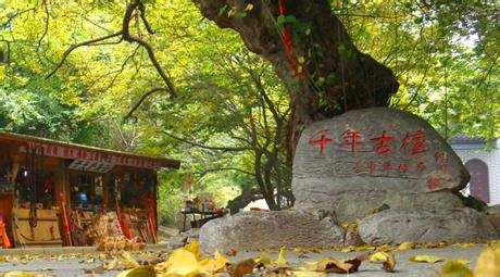 棗莊嶧城天氣預報_嶧城天氣預報一周7天10天15天棗莊嶧城天氣預報,嶧城天氣預報一周7天10天15天